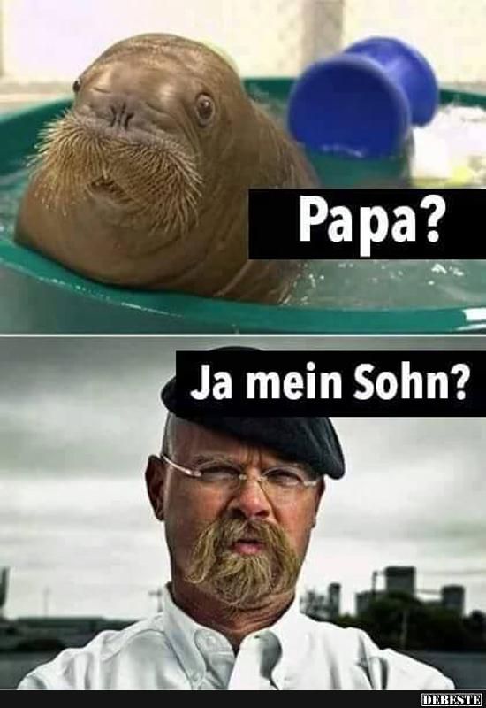 Papa? | Lustige Bilder, Sprüche, Witze, echt lustig #cuteanimalhumor