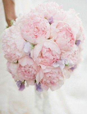 Pink Wedding Ideas With Elegance Modwedding Peony Bouquet Wedding Wedding Bouquets Wedding Bouquets Pink Pink Wedding Ideas With Elegance Modwedding Peony Bouquet Wedding Wedding Bouquets Wedding Bouquets Pink