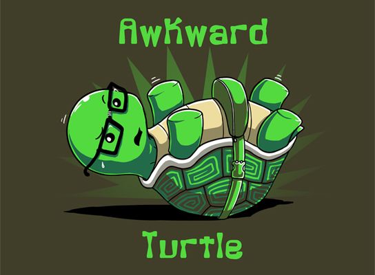 Awkward Turtle by ramy.deviantart.com on @deviantART | Turtle, Awkward ... Awkward Turtle Wong Fu