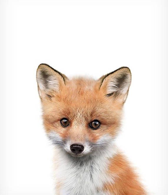 Fox Kunstdruck, DRUCKBARE, Fox print, Kinderzimmer Dekor, Tierkunst, Baby Tierdrucke, Kinderz...