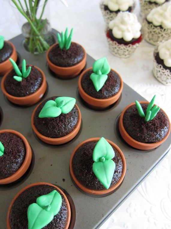 sweet sprout cupcake toppers