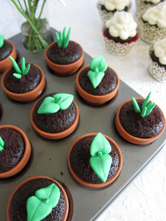 DIY Sprout Cupcakes