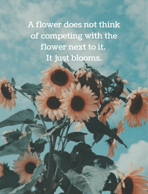 Aesthetic Flower Wallpaper With Quotes 14 Inspirational Flower Quotes for Happier Days - DIY Darlin' | Flower