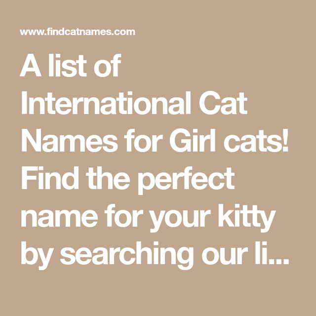 Names Find Cat Names Girl Cat Names Cat Names Names Names Find Cat Names Girl Cat Names Cat Names Names