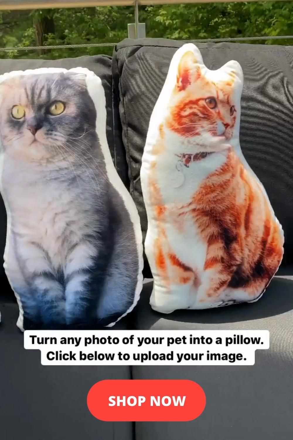 For When You Have A Moment Of Homesickness Video Custom Cat Custom Cat Pillow Cattle Dogs Rule
