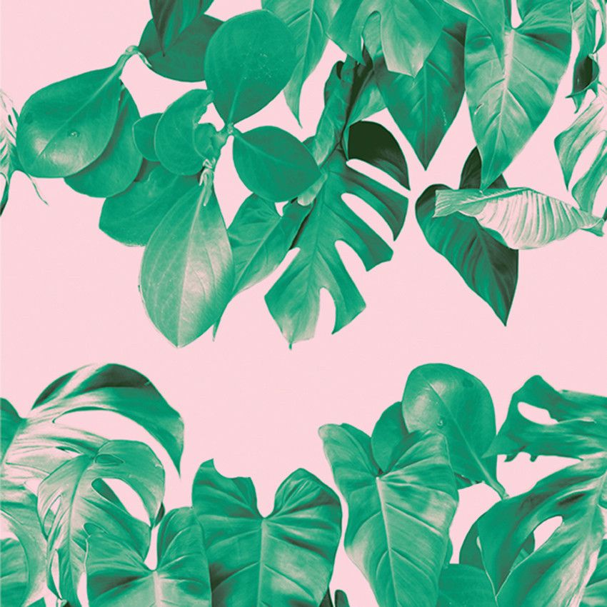 plant art