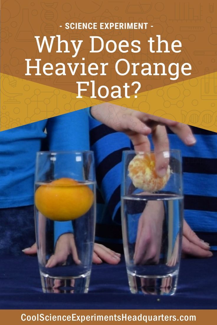 Why Does the Heavier Orange Float Science Experiment