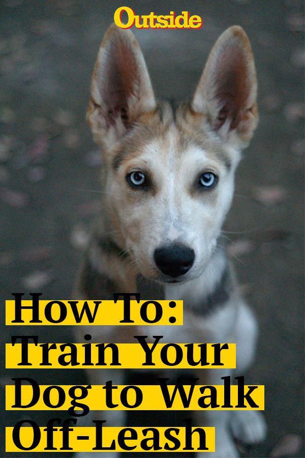 Recommendations That May Help You Develop Your Own Information Of