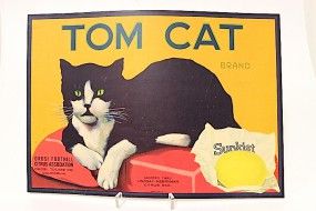 Orosi Tulare County Tom Cat Orange Citrus Fruit Crate Label Vintage Art Print Orosi Tulare County Tom Cat Orange Citrus Fruit Crate Label Vintage Art Print