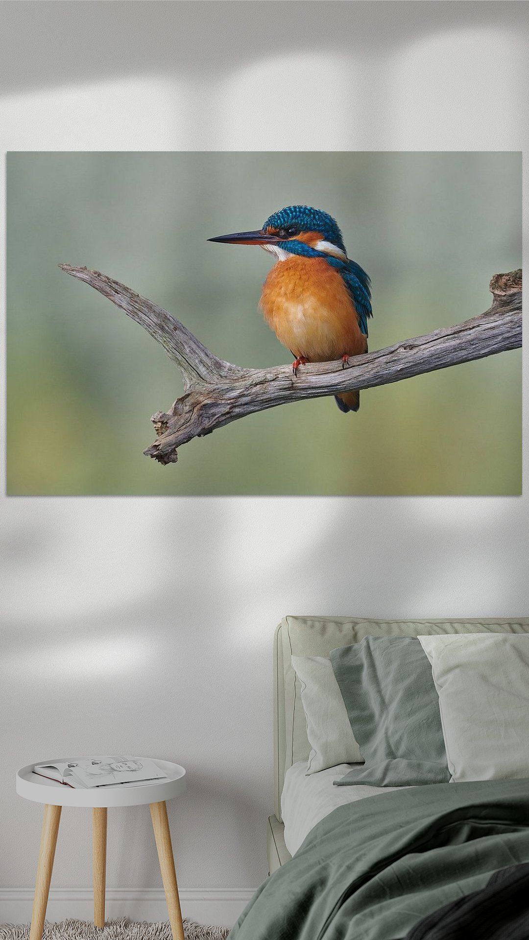 Koop het kunstwerk 'IJsvogel' van IJsvogels.nl - Corné van Oosterhout als schilderij op canvas, aluminium dibond, staal, (ingelijste) fotoprint, behang, en meer. Canvas, Prints, Animals, Products, Tela, Animales, Animaux, Canvases, Animal