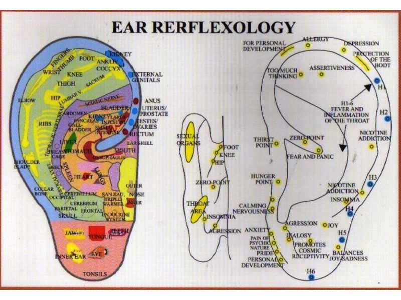 reflexology teeth chart google search reflexology ear reflex points chart
