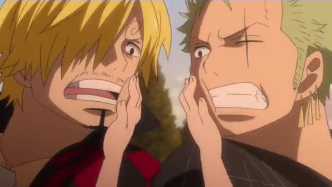 Zoro Vs Sanji