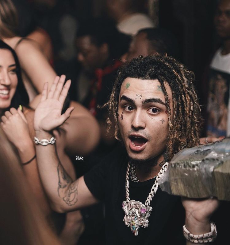 lil pump d rose snippit lil pump d rose snippit