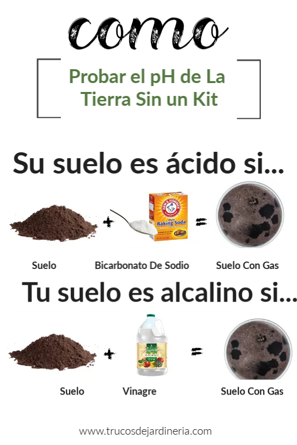Como Propbar El Ph De La Tierra Sin Un Kit Cultivo De Plantas Jardín De Productos Comestibles Plantas Comestibles