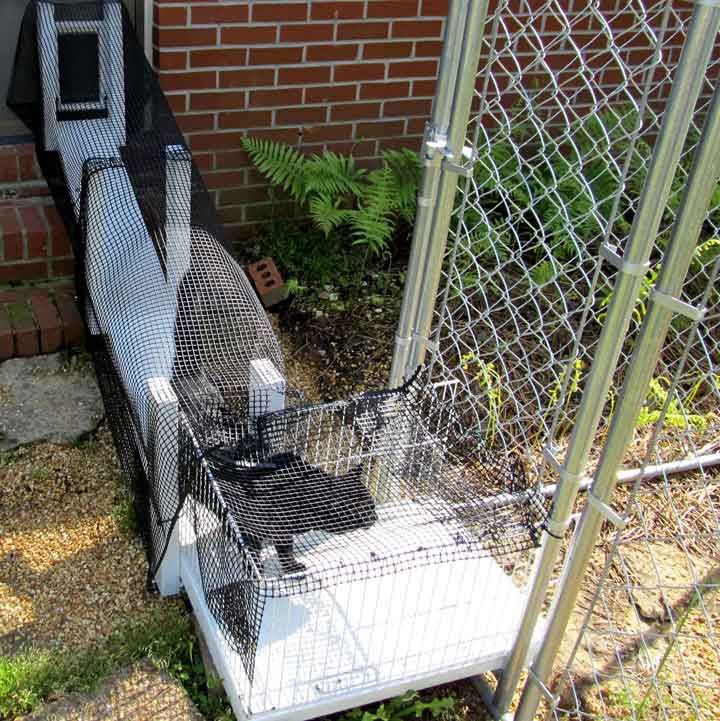 How To Make An Outdoor Catio Or Cat Enclosure Fur And Quill Babies