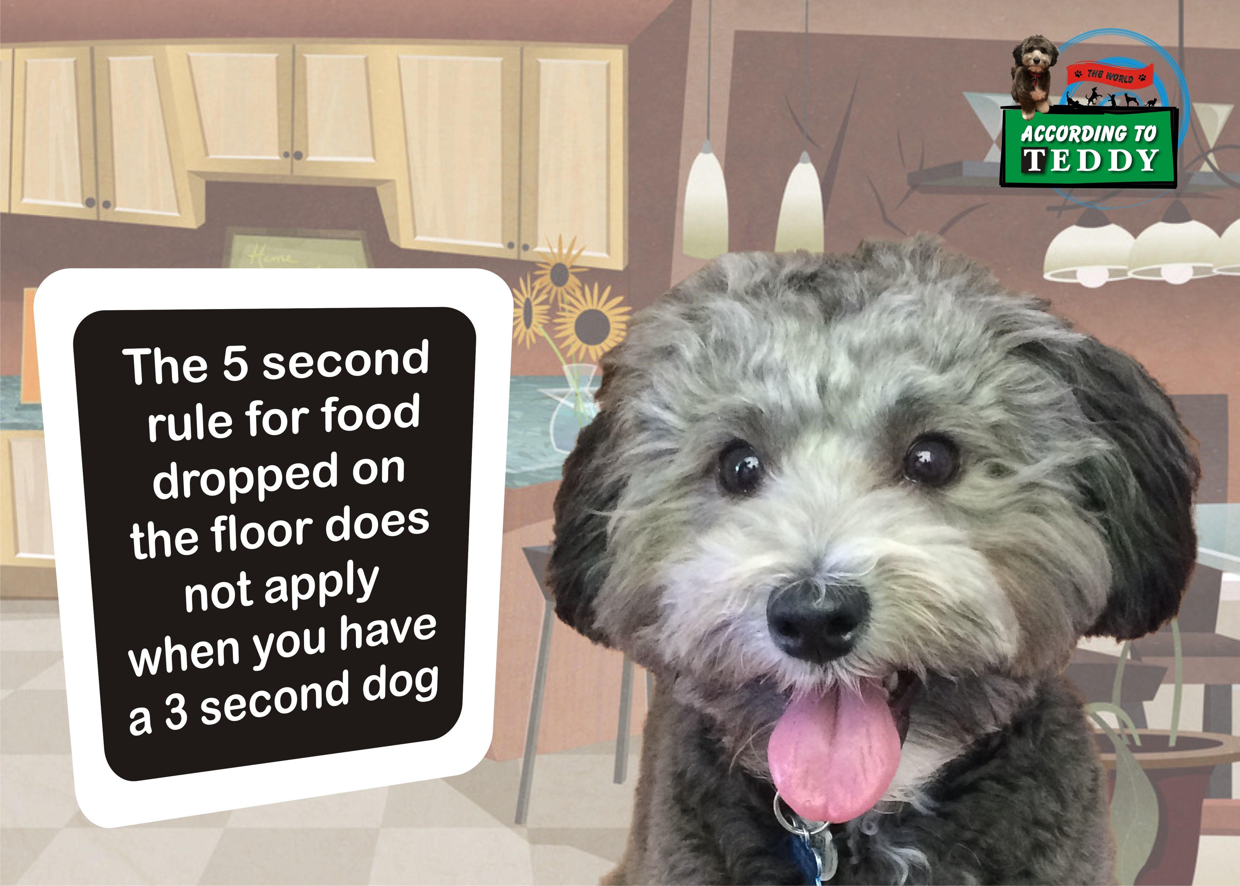 The 5 second rule for food dropped on the floor does not apply when you