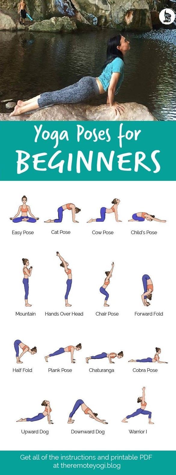 Anfänger-Yoga-Serie: Eine Routine beginnen - Yoga & Fitness - Anfänger-Yoga-Serie: Eine Routine beg...