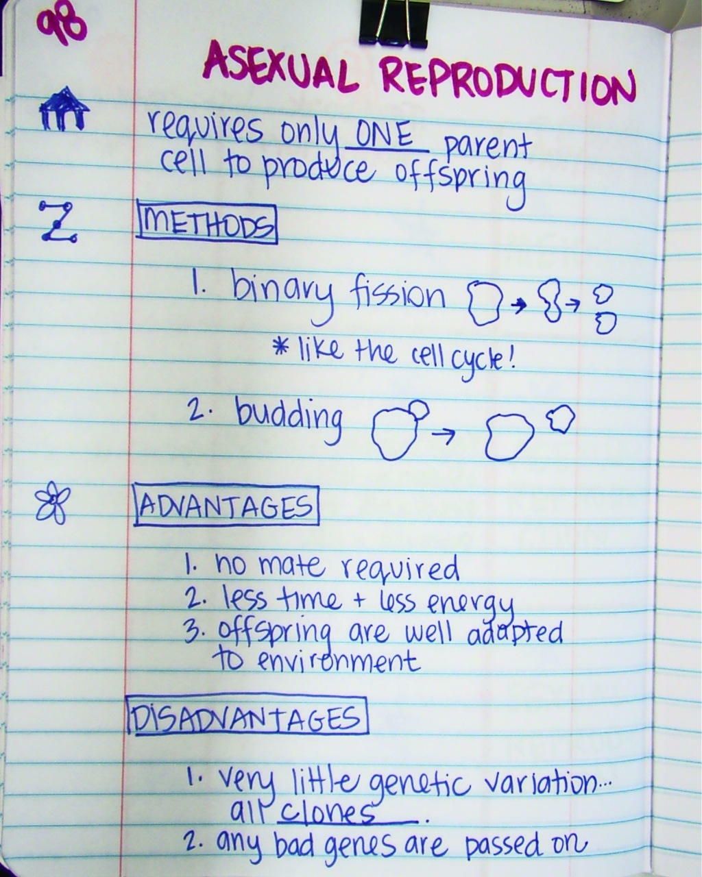worksheet Worksheet On Reproduction In Plants plant reproduction worksheet google search education school search