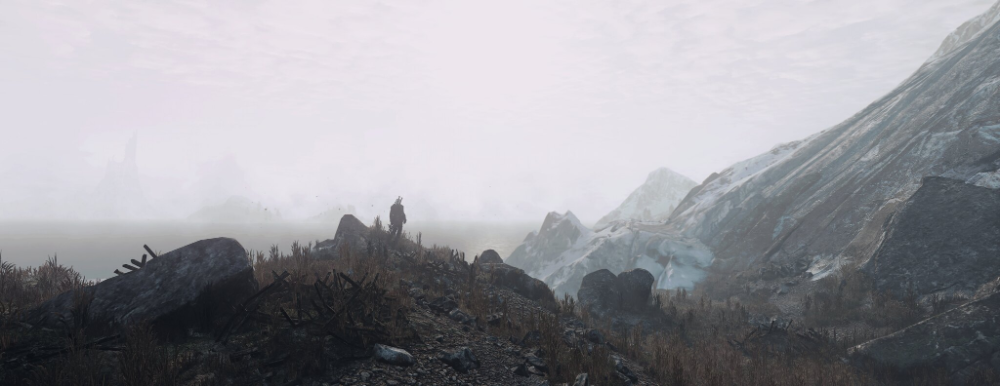 The Witcher Part 3 Daytime In Vizima The Witcher Daytime Skeletor