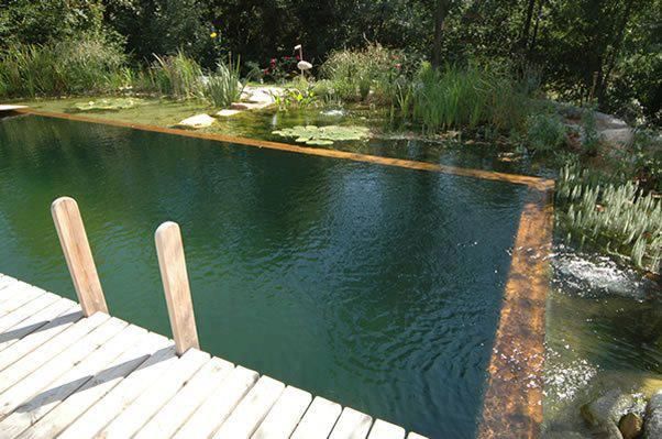 Pin By Lauren Carver On Natural Swimming Ponds Natural Swimming Ponds Natural Swimming Pools Natural Pool