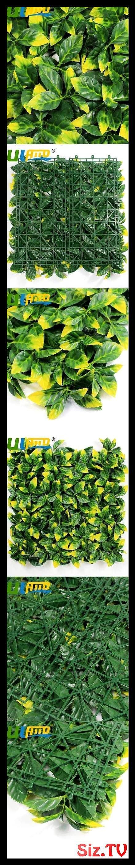 Best Patio Plants In Pots Balconies Privacy Screens 37 Ideas Best Patio Plants In Pots Balconies Privacy Screens 37 Ideas Plants Patio #balconygardenwallprivacyscreens #best #patio #plants #pots #balconies #privacy #screens #ideas #balconyprivacyscreen Best Patio Plants In Pots Balconies Privacy Screens 37 Ideas Best Patio Plants In Pots Balconies Privacy Screens 37 Ideas Plants Patio #balconygardenwallprivacyscreens #best #patio #plants #pots #balconies #privacy #screens #ideas #balconyprivacy #balconyprivacy