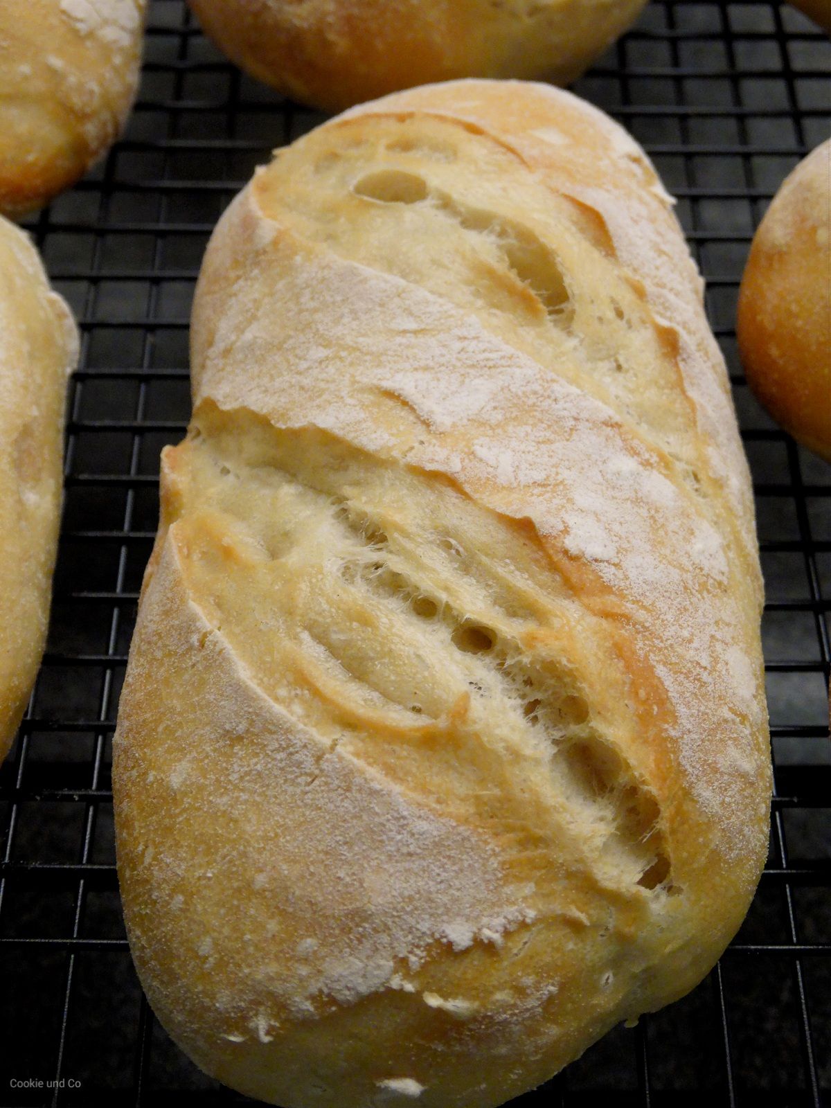 Dinkel, Weizen, Brötchen, Früchstücksbrötchen, selber backen, homemade ...