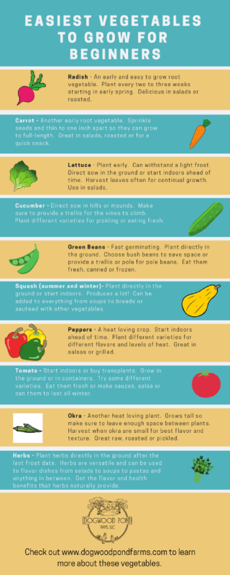 Easy to Grow Vegetables – Easy vegetables to grow