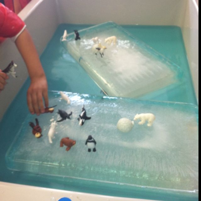 Pin By Angela Marie On Teaching Polar Animals Preschool Preschool pin-by-angela-marie-on-teaching-polar-animals-preschool-preschool