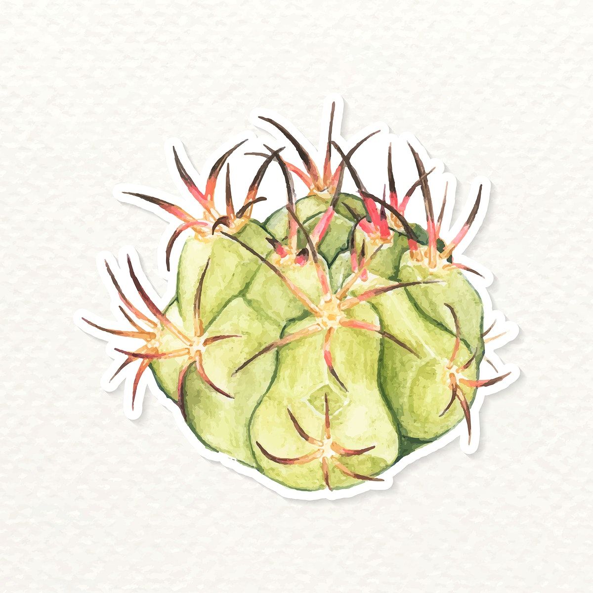 Download Download premium vector of Cactus watercolor sticker ...