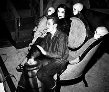 Cake Sal Ef Bf Bd Munster Cake Sal Ef Bf Bd Munster