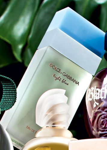 wrap it up grab a dolce amp gabbana spray and get a free d smartthings random lights vacation