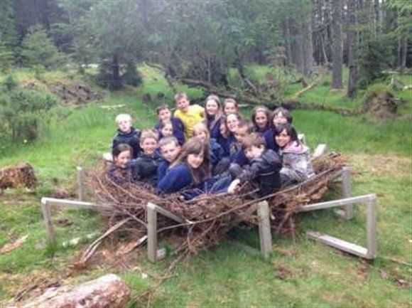 how to build a life size nest new nest at mull eagle watch mull eagles nest size