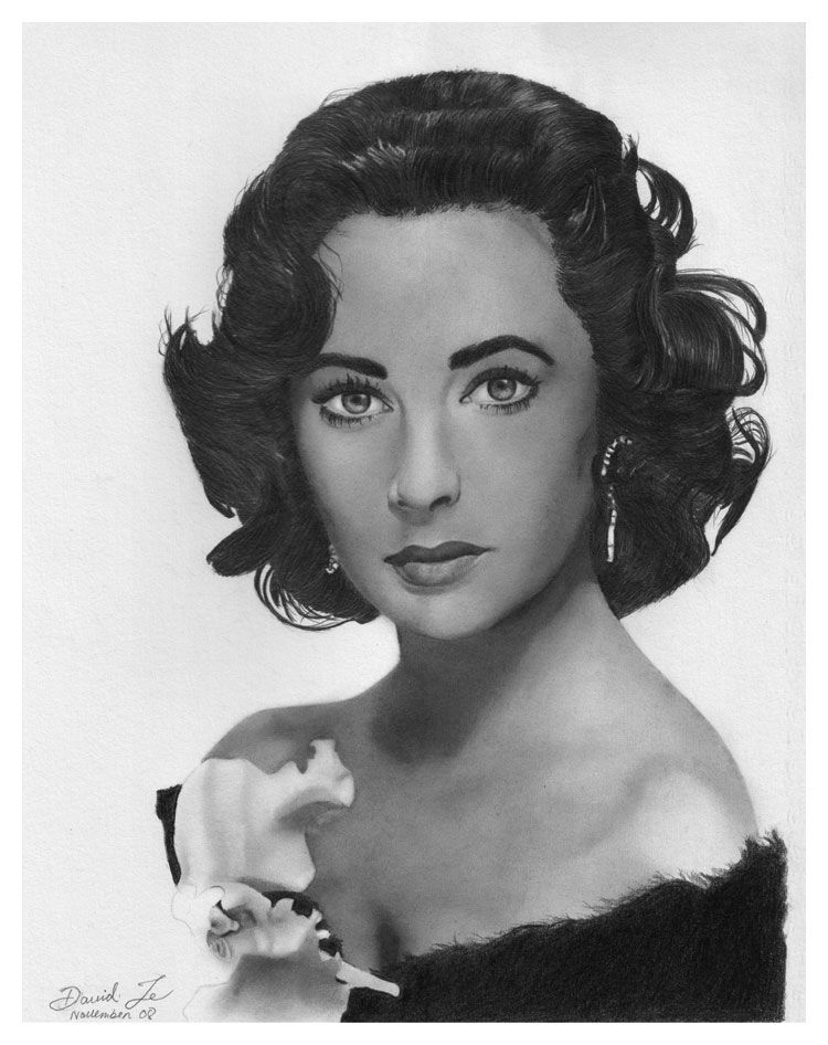 Pencil portrait sketches artistic realism pencil drawings realistic portraits and fine art in Pencil portrait sketches artistic realism pencil drawings realistic portraits and fine art in