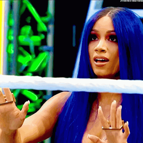 Sasha Banks Hold On GIF - SashaBanks HoldOn CalmDown - Discover & Share GIFs
