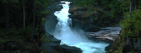 waterfall #gif #waterfalls #water #river #camping #camp #campsite #camplife #campout #outdoors #nature #wilderness
#dis… | Forest waterfall, Nature gif, Waterfall