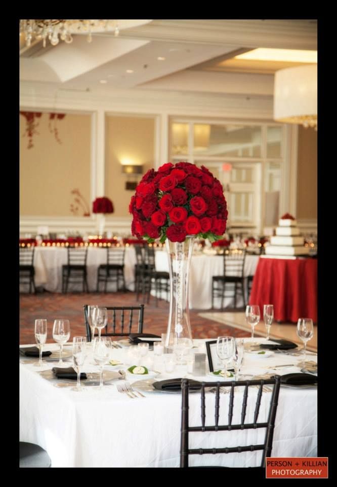 Wedding Halloween Old World Invite Boston Photography Event Black White Red Decor Classic Wedd Wedding Halloween Old World Invite Boston Photography Event Black White Red Decor Classic Wedd