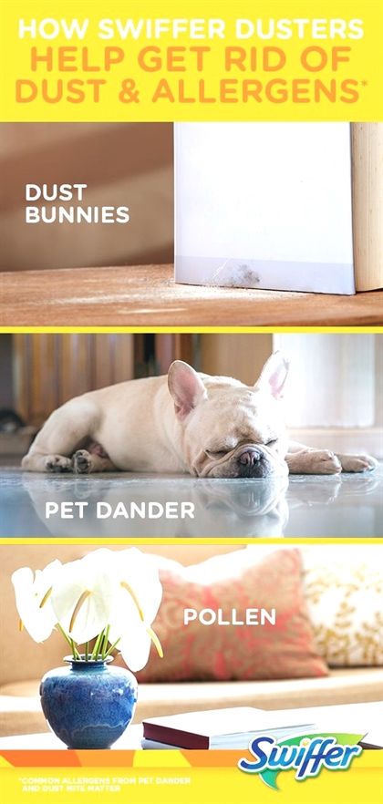Pin On Dog Training With Electronic Collar
