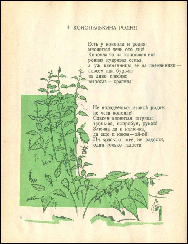 Стихотворение о конопле конопля семечка