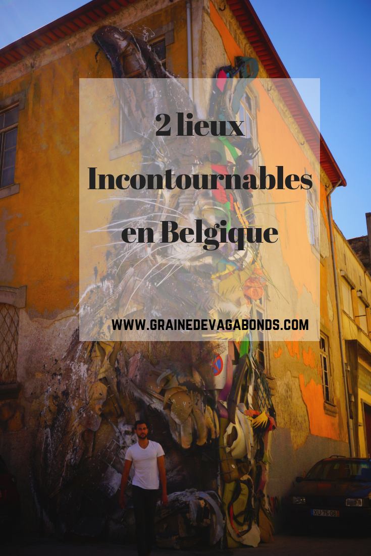 La Belgique Sous Un Autre Angle Voyager En Belgique Belgique Voyage Europe