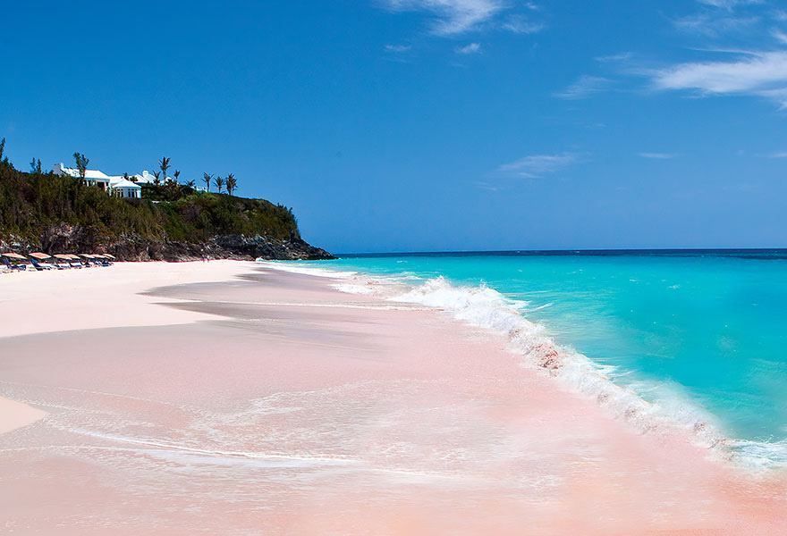 Pink Sands Beach Harbor Island Bahamas Sand Pink Sand Beach