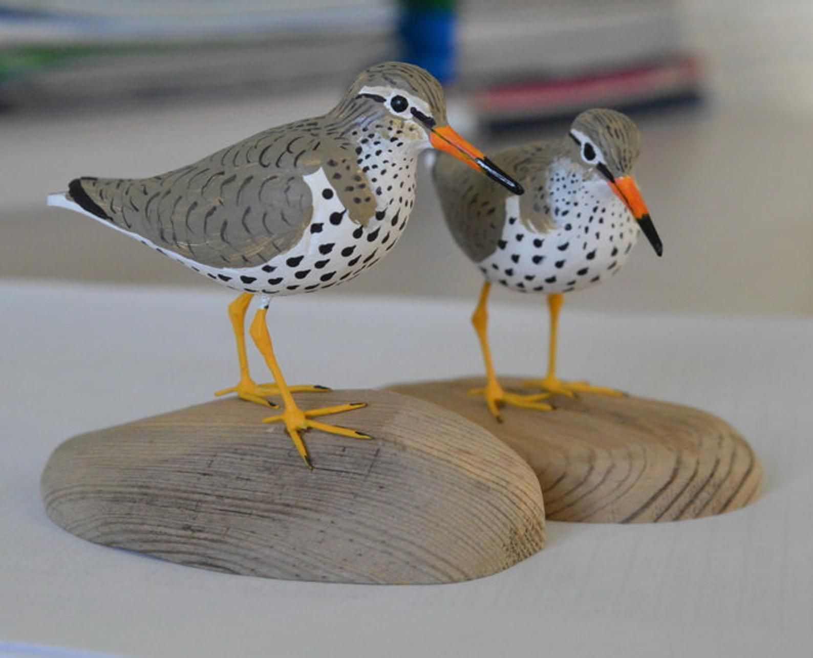 Spotted Sandpiper Shorebird Sculpture Actitis Macularius Etsy Sandpiper Wooden Figurines Shorebirds
