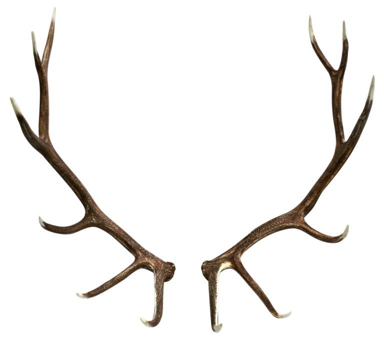 Deer Antler Chandelier, Antler Lights, Rustic Chandelier, Rustic Lighting, Chandelier Pendant Lights, Wapiti, Chandeliers, Modern Decor, Rustic Decor