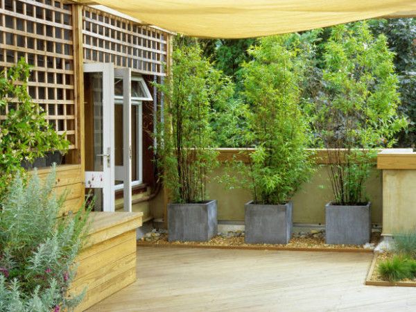 Plantas para jardines pequeños - Para Más Información Ingresa en - plantas para jardin Plantas para jardines pequeños - Para Más Información Ingresa en - plantas para jardin