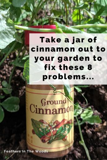 8 Reasons why plants love cinnamon (These really work!)