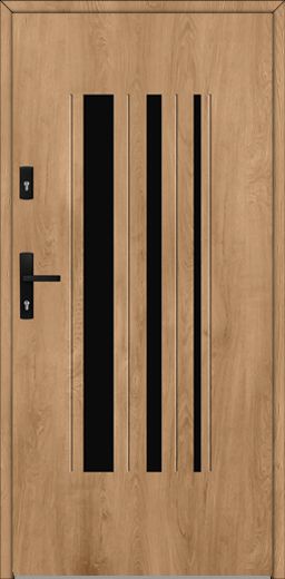Fargo 45B – modern external door