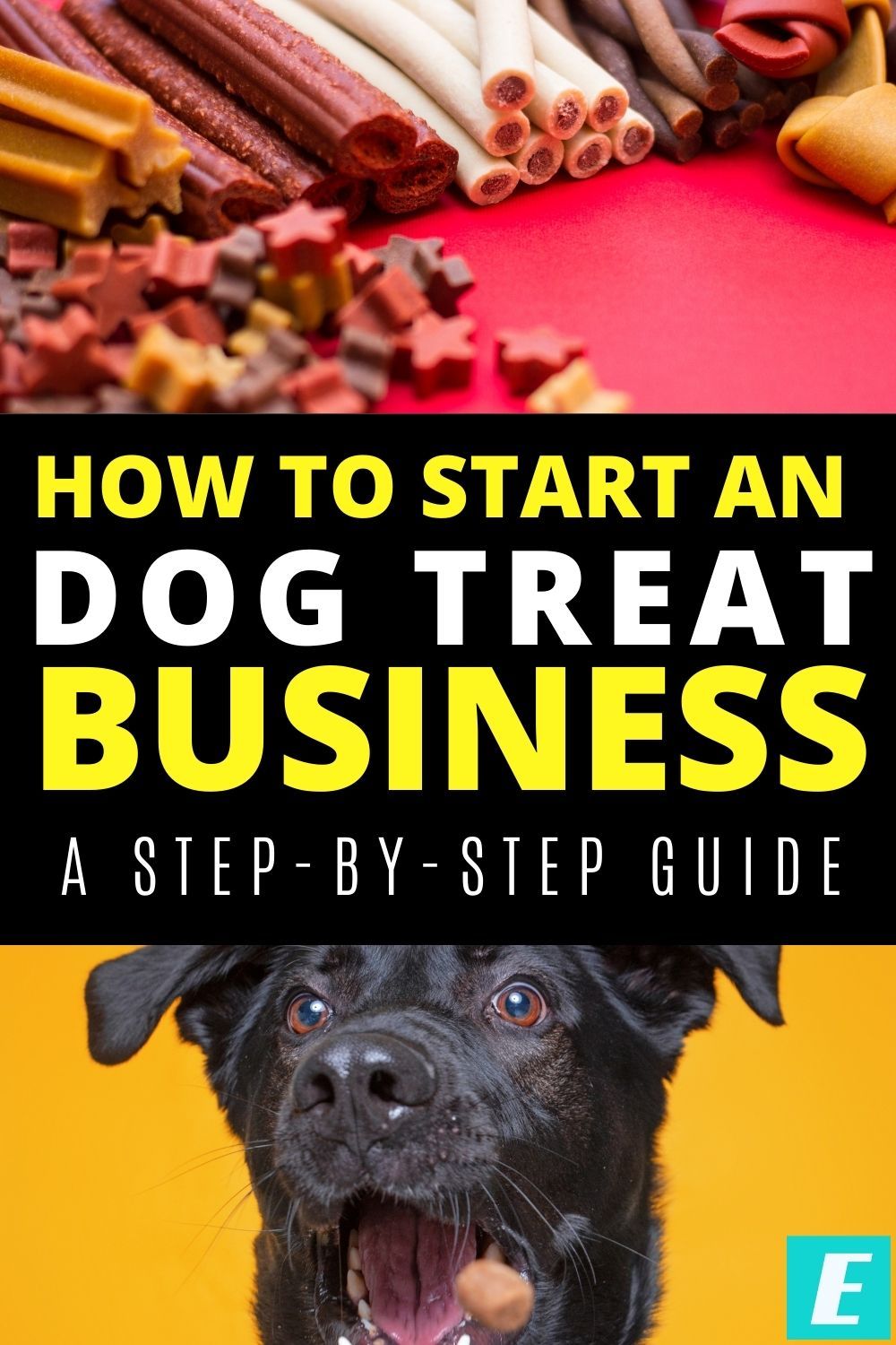 Are you looking for advice on how to start a dog treat business? Look no further. Get insight on costs, and steps to get started. #startabusiness #entrepreneurship #businesstips #dogtreatbusiness Diy Dog Treats Healthy, Dog Treats Homemade Recipes, Gourmet Dog Treats, Healthy Dog Food Recipes, Homemade Dog Food, Dog Recipes, Easy Dog Treat Recipes, Dog Biscuit Recipes, Dog Bakery
