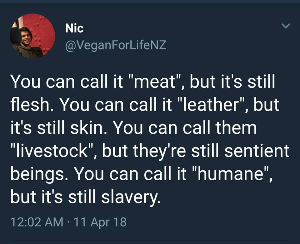 real feminists don't actively fund slavery, mutilations, exploitations, abuse and genocide. Time to get on the right side of history and help end the Holocaust and world hunger and rampant disease #veganquotes