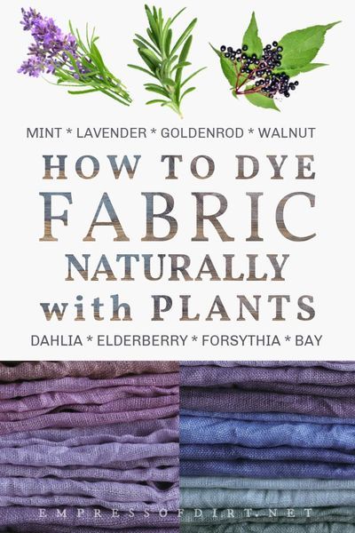 Many of the plants we grow like lavender, nettles, goldenrod, and elderberries can be used as natural dyes for fabrics like cotton, wool, and linen. Use this starter guide to begin creating… More Eco Dyeing Fabric, Fabric Dyeing Techniques, How To Dye Fabric, Yarn Dyeing, Natural Dye Fabric, Natural Fabrics, Natural Dyes, Natural Green Dye, Fabric Painting
