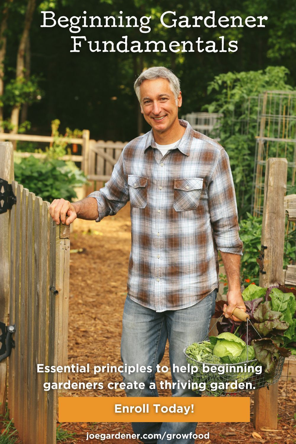 Join me as I walk you through the basics on healthy soil, planting basics, watering techniques, composting 101, raised bed and other gardening methods, fertilizer fundamentals, the many benefits of mulch, and more. When you follow these fundamentals, your plants will be healthy and your garden will thrive - even when gardens around you are failing. | #onlinegardeningcourses #gardeningforbeginners #organicgardening #vegetablegardening Organic Gardening Tips, Vegetable Gardening, Composting 101, Thriving Garden, Gardening Courses, Raised Bed, Grow Your Own Food, Organic Vegetables, Gardening For Beginners