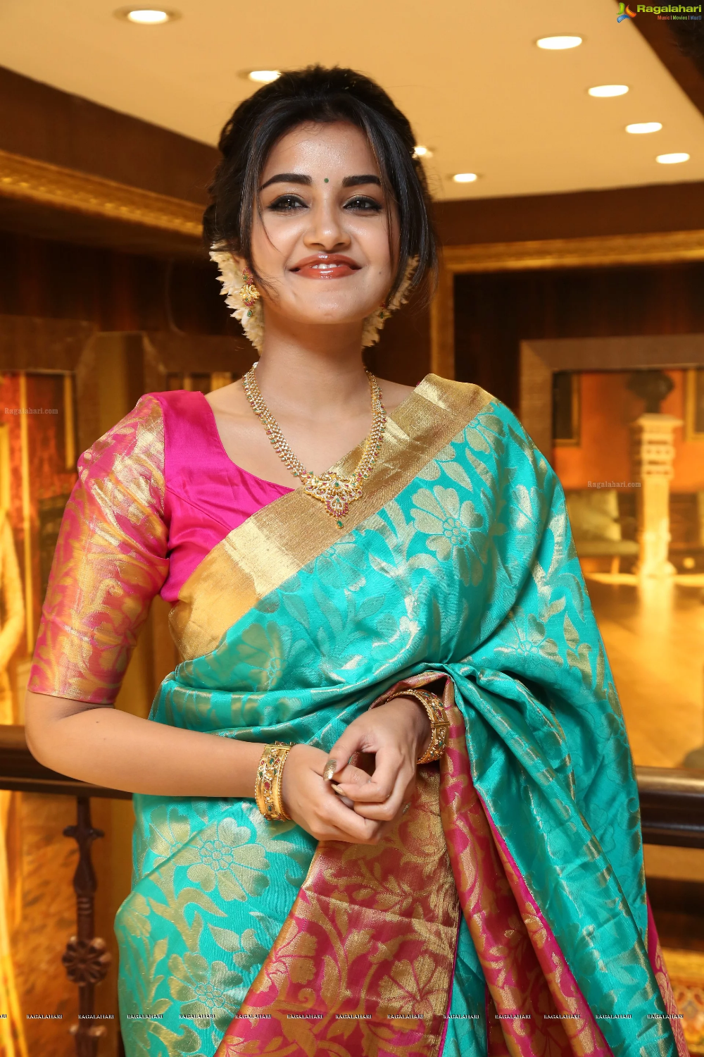 Pin by Dharani Kathirvel on Party Wear | Indian saree blouses designs